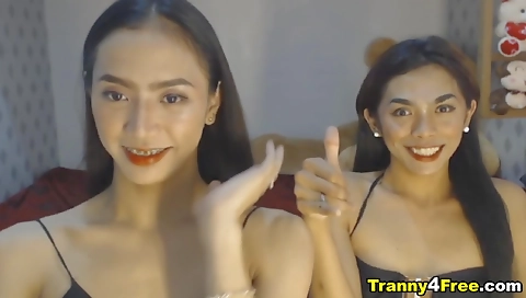 Busty shemale with small tits gets fucked by two big cocks